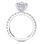 Summer Moissanite Ring