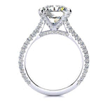 Ariana Moissanite Ring