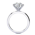 Brooke Moissanite Ring
