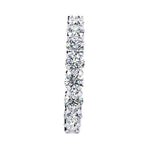 Paige Diamond Band