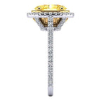 Athena Moissanite Ring
