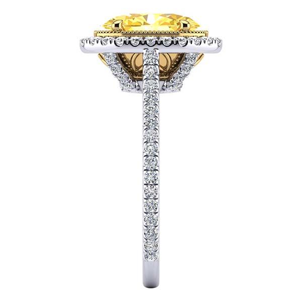 Athena Moissanite Ring