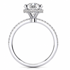 Aliana Lab Grown Diamond Ring — white gold — side profile