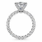 Baz Lab Grown Diamond Ring — white gold — side view