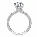 Monica engagement ring — white gold — side view