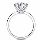 Shannon engagement ring — white gold — side profile